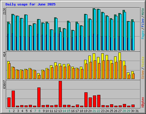 Daily usage for June 2025