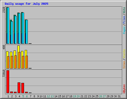 Daily usage for July 2025