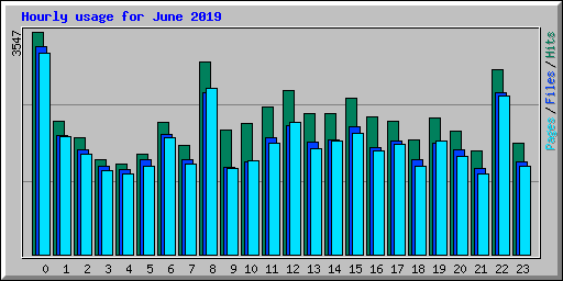 Hourly usage for June 2019