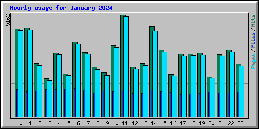 Hourly usage for January 2024