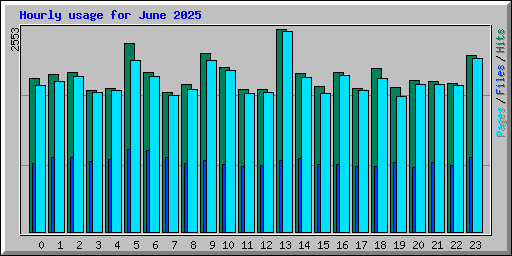 Hourly usage for June 2025