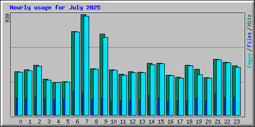 Hourly usage for July 2025