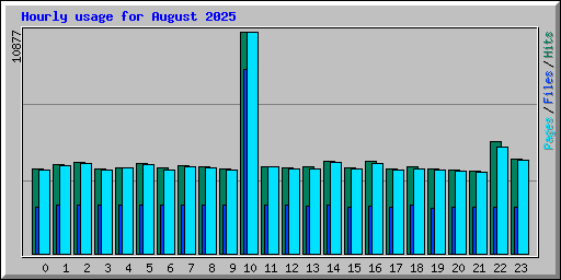 Hourly usage for August 2025