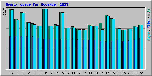 Hourly usage for November 2025