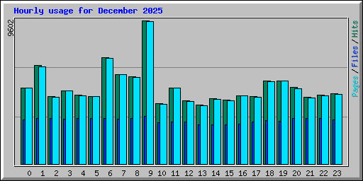 Hourly usage for December 2025