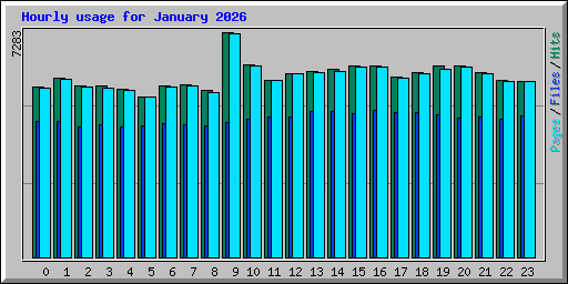 Hourly usage for January 2026