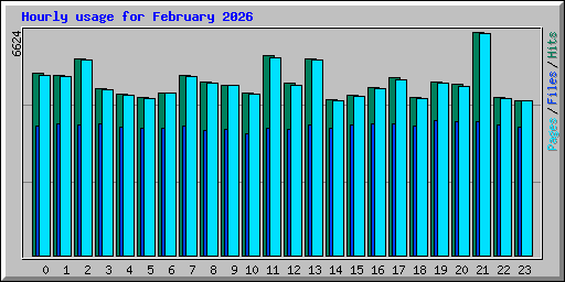 Hourly usage for February 2026